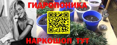 мяу мяу мука Мариинск