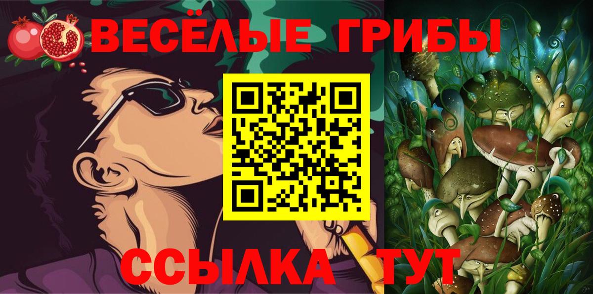 Галлюциногенные грибы Psilocybe Реж