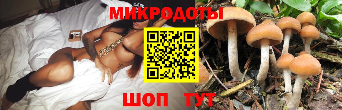 Реж  Галлюциногенные грибы Psilocybine cubensis  Вход с VPN 